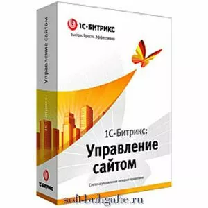1C-Битрикс: Управление сайтом – Первый сайт на soft-buhgalte.ru