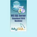 Лицензии на сервер MS SQL Server Standard 2014 Runtime