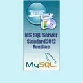 Лицензии на сервер MS SQL Server Standard 2012 Runtime
