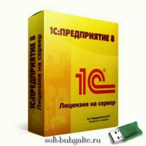 1С:Предприятие 8.3. Лицензия на сервер (USB) на soft-buhgalte.ru 