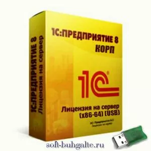 1С:Предприятие 8.3. Лицензия на сервер (х86-64) (USB) на soft-buhgalte.ru